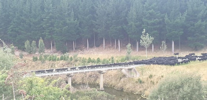 4 Rivers Farming Carousel 2