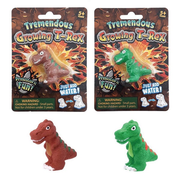 Growing T-Rex Dinosaur Carousel 1