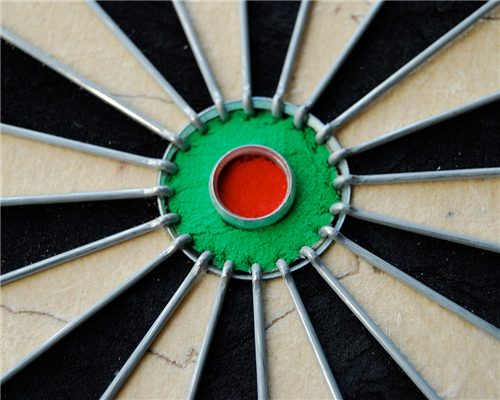 WINMAU PRO SFB DARTBOARD Carousel 2