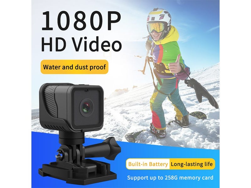 Dog Camera Carousel 2