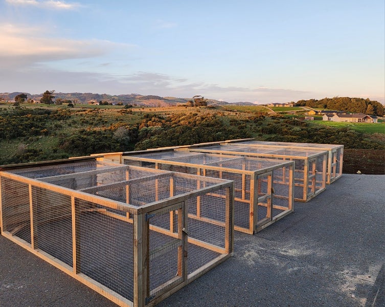 Rabbit run Carousel 3