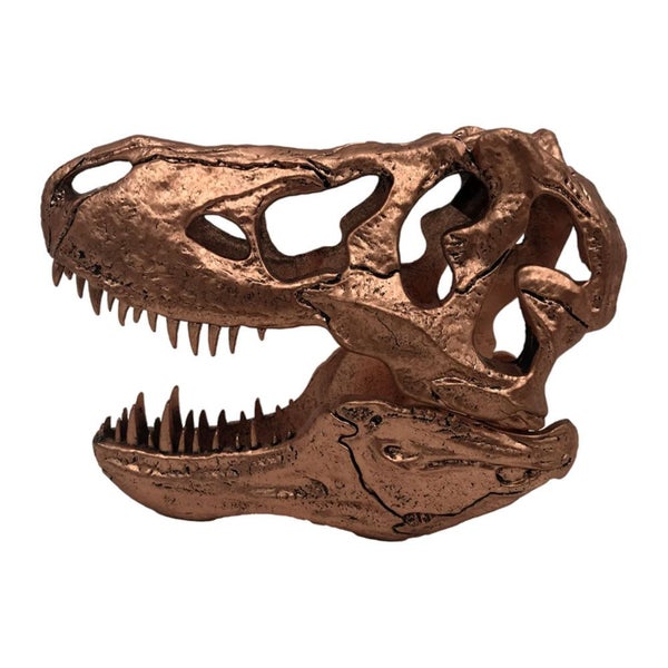 Jurassic Park T-Rex Skull Scaled Prop Replica Carousel 1