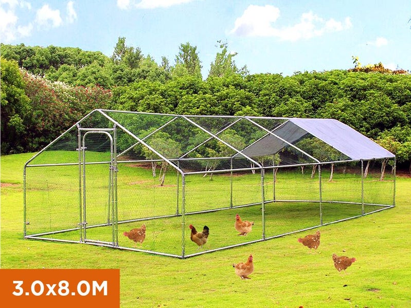 Chicken Run Chicken Coop Carousel 1