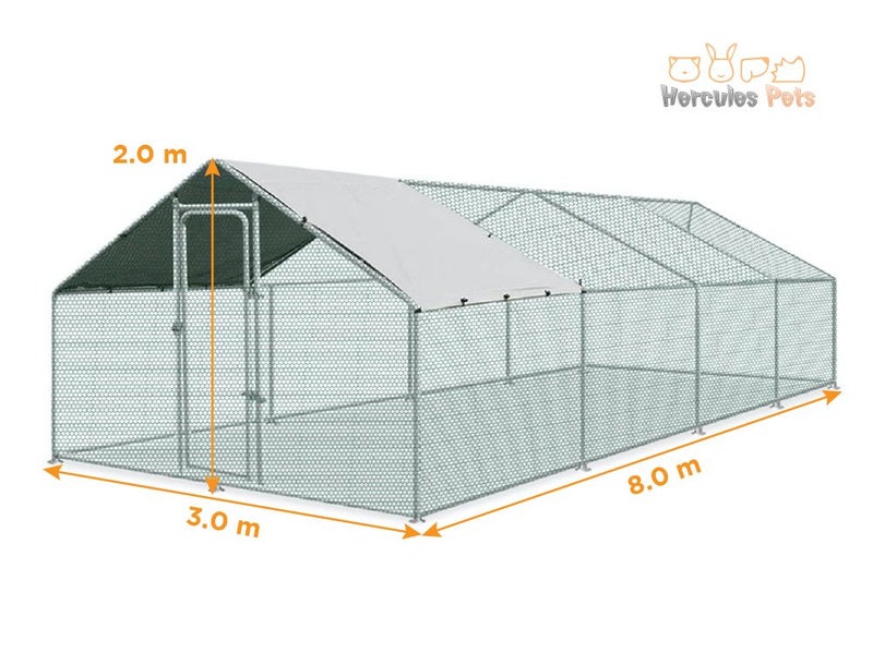 Chicken Run Chicken Coop Carousel 2