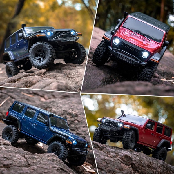 RC car Carousel 6