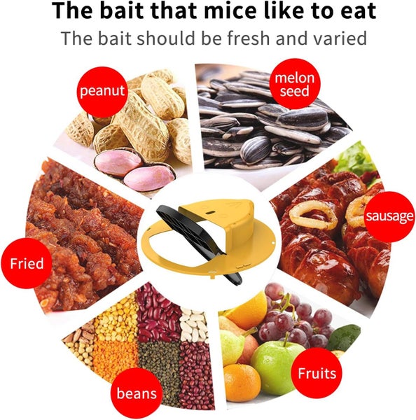 Pest Possums Trap Rat trap Mouse Trap - (NZ Clearance) Carousel 7