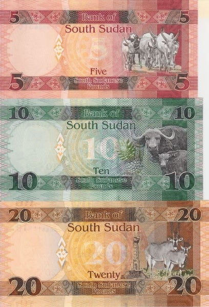 SOUTH SUDAN 2015 - 5, 10, 20 Pounds banknotes UNC Carousel 2