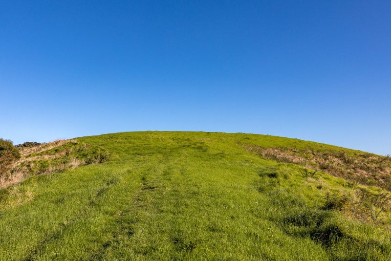 ''Fields of Dreams''64594903629443113