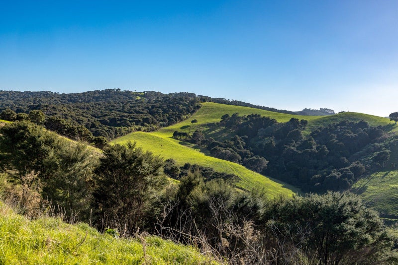 ''Fields of Dreams''64594903629443114