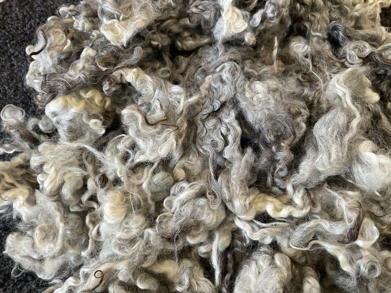 *SALE Wool 100% natural grey Gotland locks washed 150 grams Carousel 1