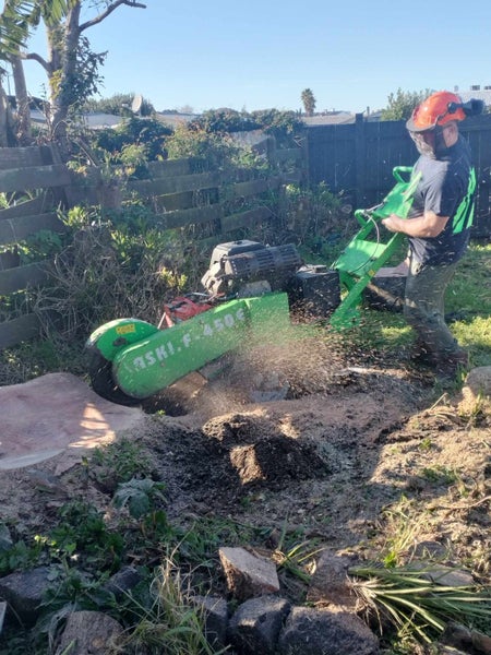 Stump Grinding/Tree Services Auckland Carousel 1