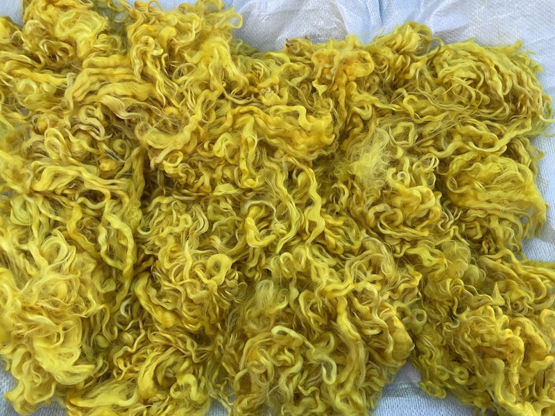 *SALE Wool 100% Hand dyed YELLOW Locks Carousel 1