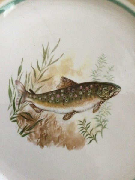 TROUT ON A PLATE READ Carousel 2