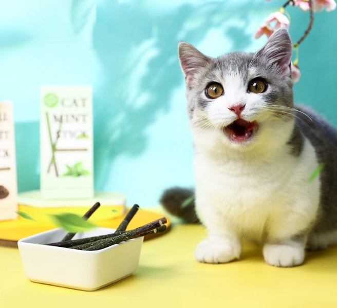 Cat Toy with Catnip and Silvervine Carousel 4