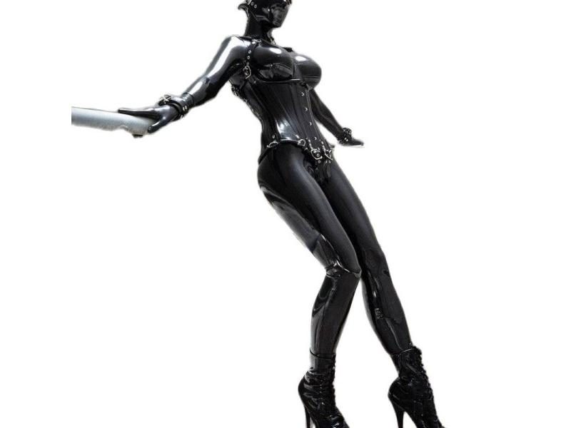 Latex Catsuits Outfits Corset Underwear Stocking Suspenders Whole Set Bra Carousel 1