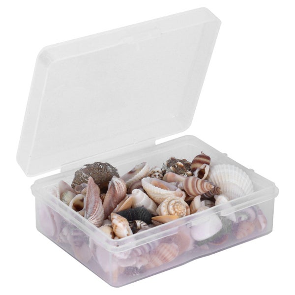 diy seashell natural seashell jewelry diy sea snail mixed sea shell Jewelry Carousel 1
