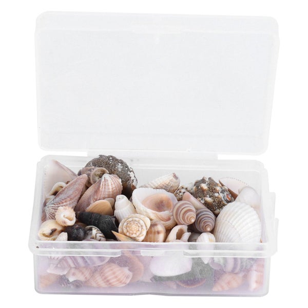 diy seashell natural seashell jewelry diy sea snail mixed sea shell Jewelry Carousel 8