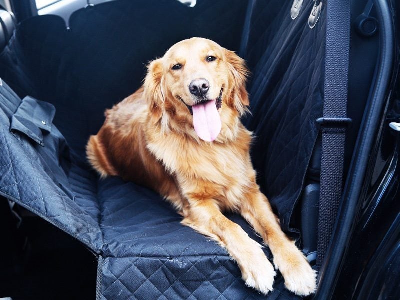 Multifunction Waterproof Pet Back Car Seat Cover Hammock NonSlip Protector Mat Carousel 2