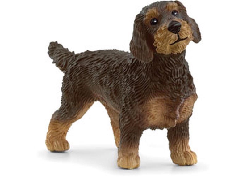 Schleich Wire-Haired Dachshund Carousel 1