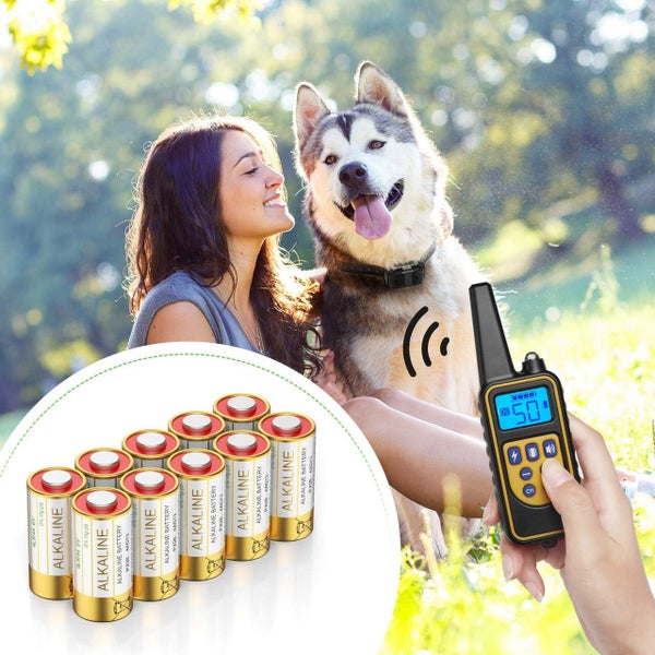 EBL 6 Volt Battery 4LR44 Dog Collar Batteries 5 Pack 6V Alkaline Batteries Carousel 6