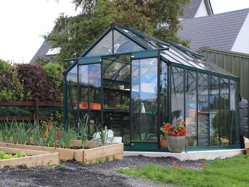 Fairway Fern Haven Glasshouse 8x12ft (Green Edition)629481022594571127