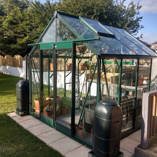 Fairway Fern Haven Glasshouse 8x12ft (Green Edition)62948102259457112