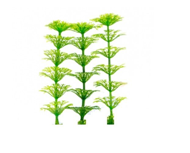 Ambulia Limnophila sessiliflora Aquarium tropical plants for fish tank Carousel 8