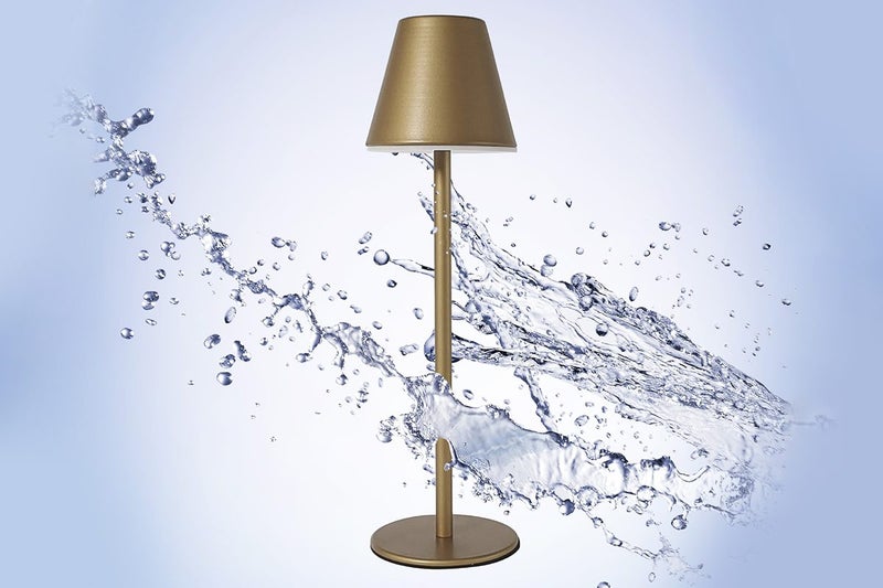 Cordless LED Table Lamp Touch Desk Lamp Portable Bar Night Light-Gold Carousel 2