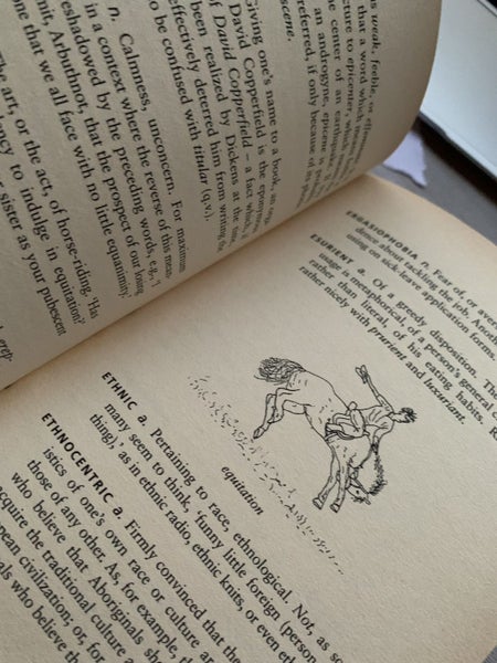 THE SUPERIOR PERSON'S BOOK OF WORDS - PETER BOWLER Carousel 4