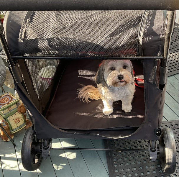 Very Large, Pet Dog Cart, enclosed, NEW, can fit two dogs Carousel 2