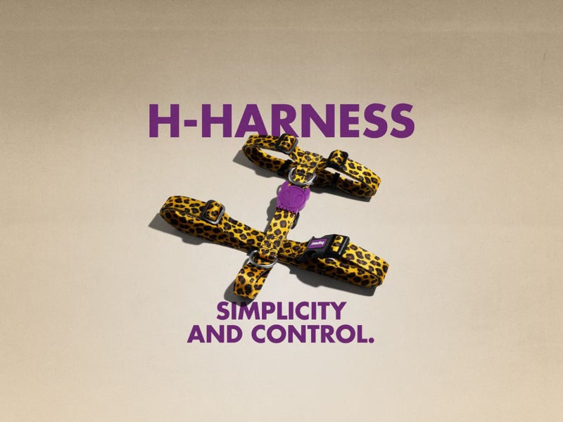 ZEE.DOG H HARNESS - HONEY! LARGE! Carousel 1