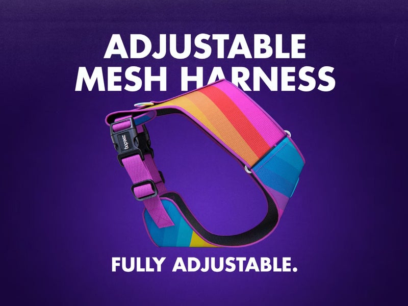 ZEE.DOG ADJUSTABLE AIR MESH HARNESS - REFLECTIVE NOX! SIDUS! LARGE! Carousel 8