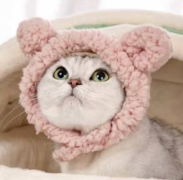 Dog costume pet costume CUTE costume Hat pinkBEAR for small dog and cats Carousel 1