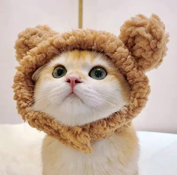 Dog costume pet costume CUTE costume Hat brownBEAR for small dog and cats Carousel 1