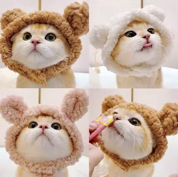Dog costume pet costume CUTE costume Hat brownBEAR for small dog and cats Carousel 2