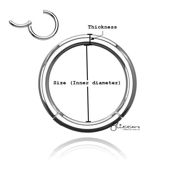 18 Gauge Hinged Stainless Steel Segment Hoop Rings-Silver | Gold | Black | Ro... Carousel 4