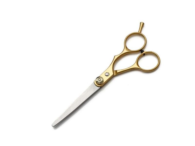 Hair Scissors Carousel 1