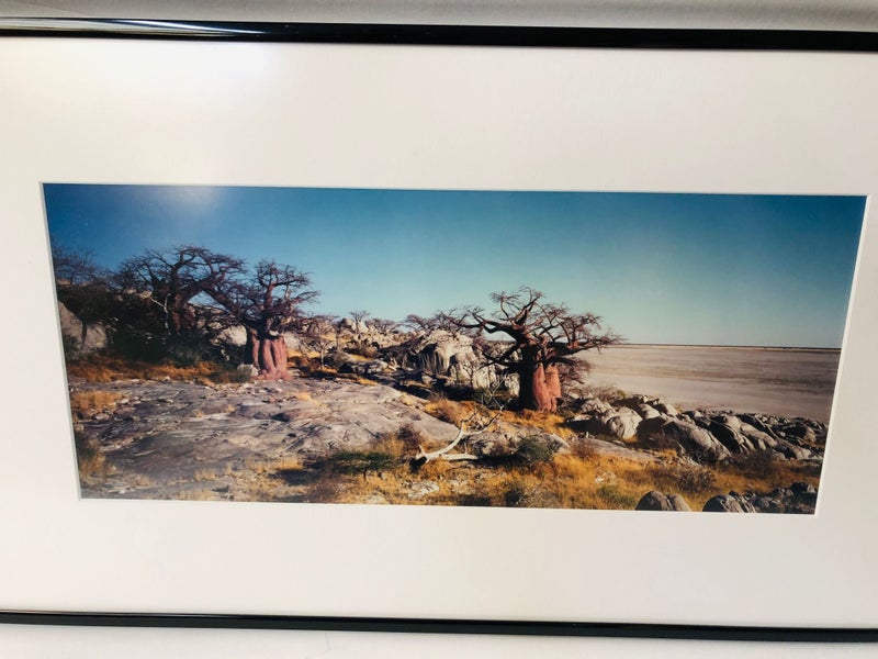 Framed Botswania Landscape Photo (18283) Carousel 2