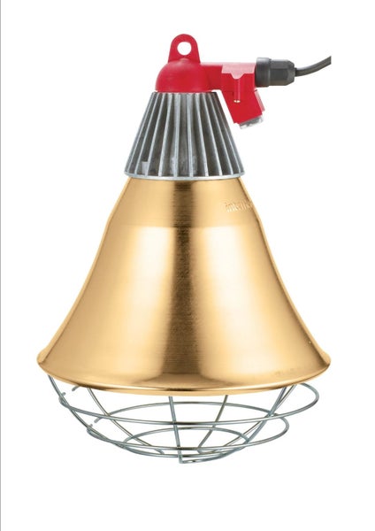Professional Heat Lamp Set (210mm) with chain and dimmer switch. Carousel 1