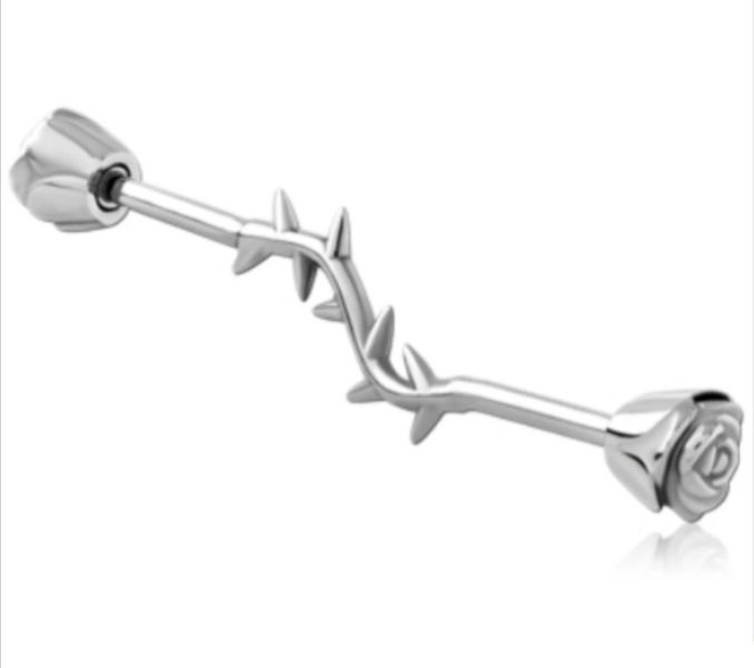 Rose and Thorns Industrial Bar. Carousel 1