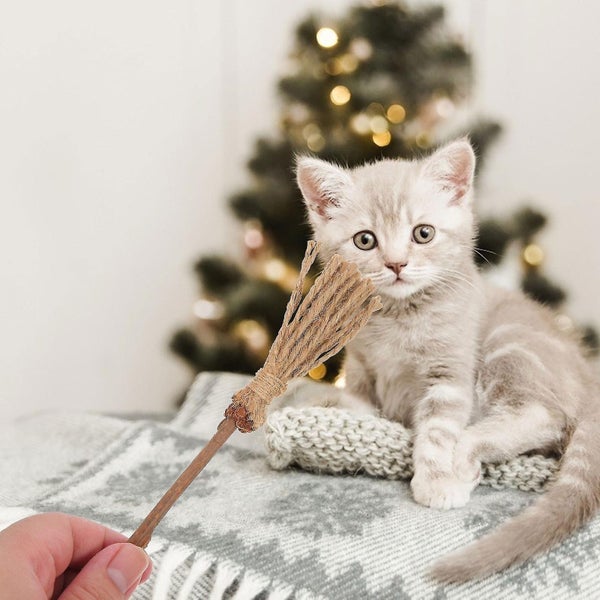 2pcs Cat Catnip Sticks Cat Teeth Cleaning Toys Cat Molar Sticks Portable Cat Tr Carousel 2
