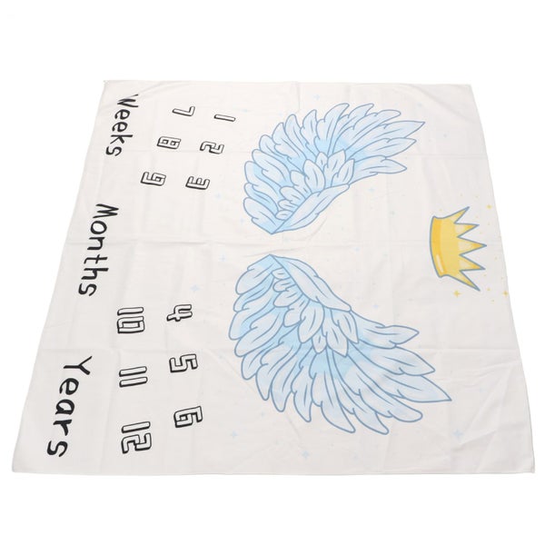 baby milestone blanket monthly milestone blanket month blanket Baby Milestone Carousel 1