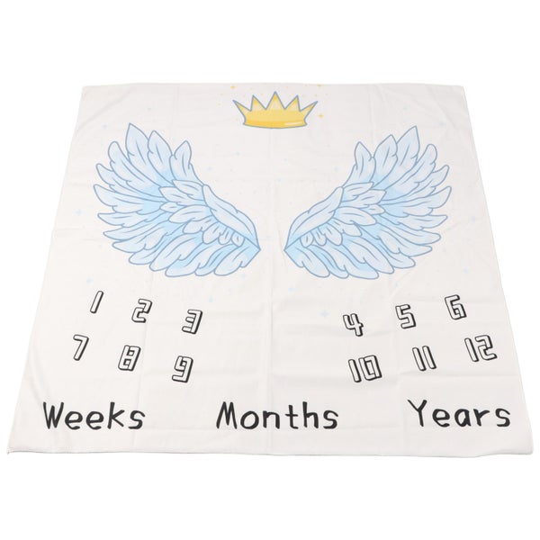 baby milestone blanket monthly milestone blanket month blanket Baby Milestone Carousel 2