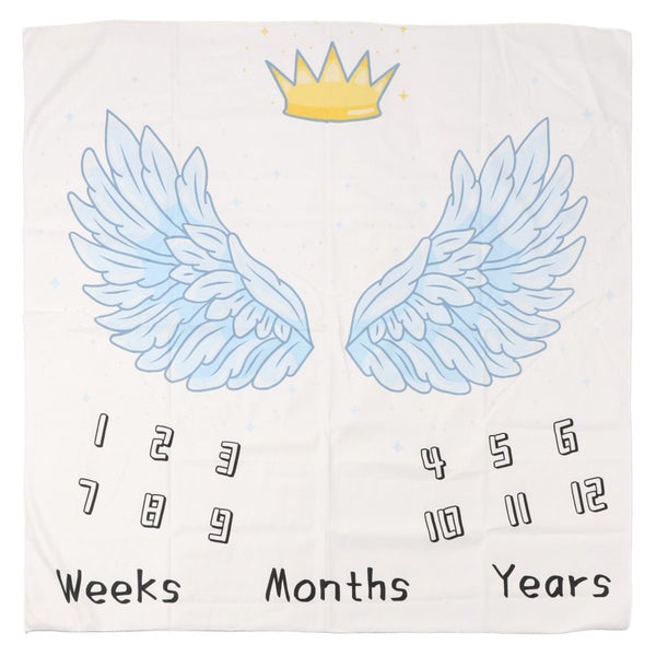 baby milestone blanket monthly milestone blanket month blanket Baby Milestone Carousel 5