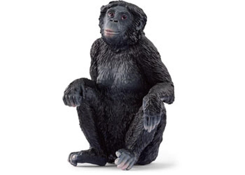 Schleich Bonobo Female Carousel 1
