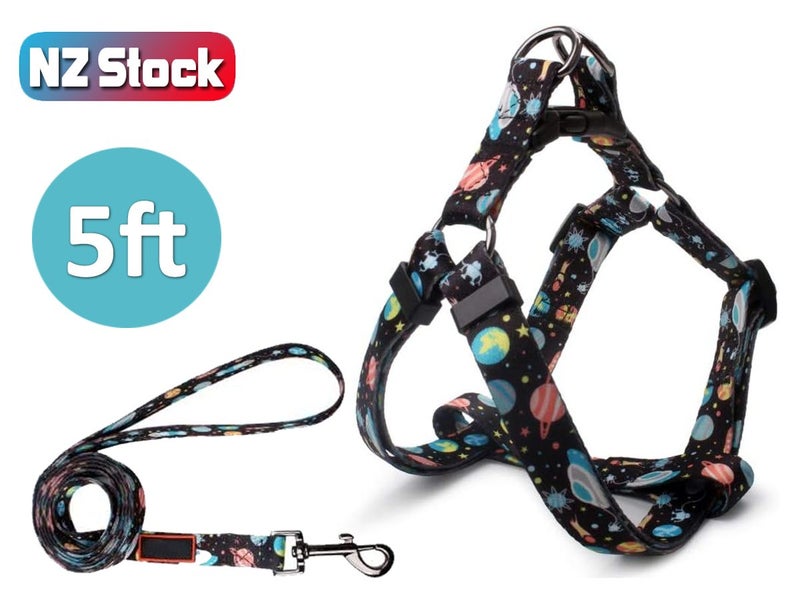 Dog Collar for Medium Dogs Clearance - Clearance Carousel 1