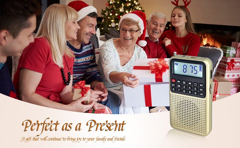 3 in 1 Portable Radio AM FM MP3 Player Voice Recorder Carousel 2