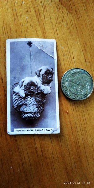 "De Reszke" Real Photographs 3rd Series No. 27/27 "Swing High, Swing Low" Carousel 1