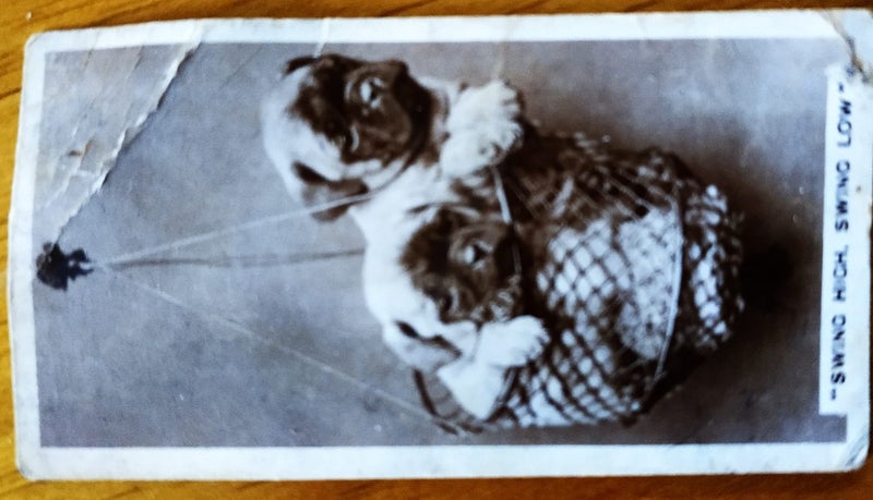 "De Reszke" Real Photographs 3rd Series No. 27/27 "Swing High, Swing Low" Carousel 2