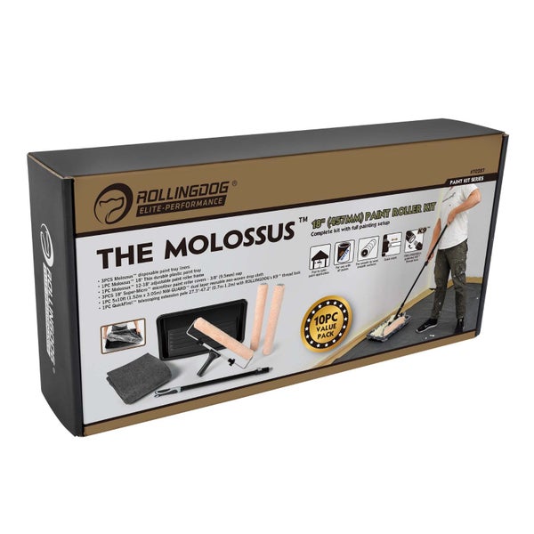 Wall Painting Kit Carousel 2